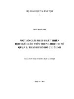 Một số giải pháp phát triển đội ngũ giáo viên trung học cơ sở quận 5, thành phố Hồ Chí Minh