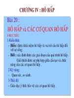 HÔ HẤP VÀ CÁC CƠ QUAN HÔ HẤP SINH 8