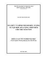 Tổ chức và hình thành biểu tượng về tập hợp, số lượng, phép đếm cho trẻ mầm non