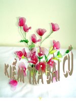 Tập đọc(Tuần 25)