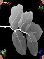 Ảnh nền Powerpoint tuyệt đẹp