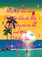 Văn bản báo cáo