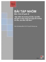 Tiểu luận Kinh tế quốc tế: Đặc điểm thị trường hồ tiêu, hạt điều thế giới và khả năng mở rộng thị trường hồ tiêu, hạt điều Việt Nam