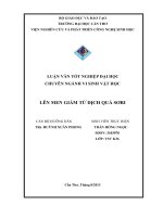 lên men giấm từ dịch quả sơri