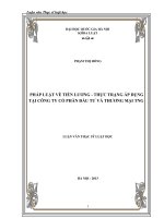 Pháp luật về tiền lương   thực trạng áp dụng tại công ty cổ phần đầu tư và thương mại TNG 