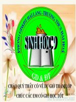 BENH TAT VA DI CHUYEN O NGUOI