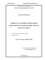 Nghiên cứu tạo kháng thể đa dòng kháng kháng nguyên đặc hiệu trên vỏ bào tử b anthracis 