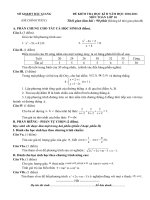 de thi hk2 toan lop 10 bac giang 2011