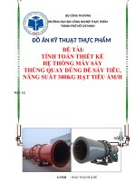 TÍNH TOÁN THIẾT KẾ  HỆ THỐNG MÁY SẤY  THÙNG QUAY DÙNG ĐỂ SẤY TIÊU,  NĂNG SUẤT 300KG HẠT TIÊU ẨMH