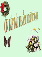 Ôn tập tác phẩm trữ tình