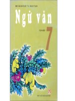 Tổng hợp các hình ảnh Ngữ Văn 7