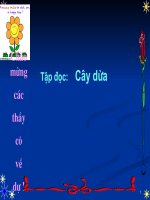 Tập đọc: Bài: Cây dừa(Tuần 28 )