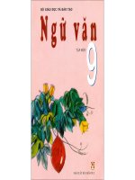 Tổng hợp hình Ngữ Văn 9