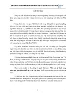 Tiểu luận Kinh tế quốc tế: Rào cản kỹ thuật hàng nông sản Nhật Bản và đối sách của Việt Nam