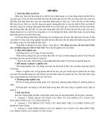 Tiểu luận Kinh tế quốc tế: Tác động của toàn cầu hóa kinh tế đến việc cải thiện năng lực kinh tế Việt Nam