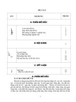 sang kien kinh nghiem lop 2