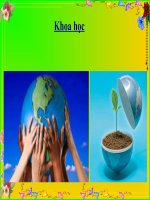 Ôn tập : Môi trường và TNTN