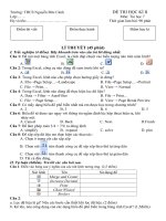 De thi ki 2 tin 7  LT   TH nam hoc 20102011