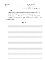 Đề thi hk 2 sử 6 có đáp an hd cham