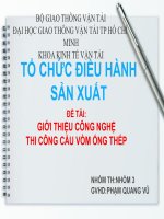 CÔNG NGHỆ THI CÔNG CẦU VÒM ỐNG THÉP