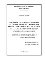Nghiên cứu tác dụng hạ đường huyết và khả năng chống rối loạn trao đổi lipid của dịch chiết từ hạt loài đậu đen (vigna cylindrica (l )) trên mô hình chuột đái tháo đường thực nghiệm