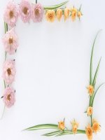 Bài thuyết trình kế toán công ty thương mại