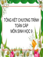 Tổng kết chương trình toàn cấp 3 tiết
