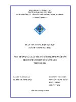 ảnh hưởng của các yếu tố môi trường nuôi cấy đến sự phát triển của nấm men trên bã bia