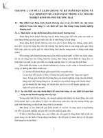 Hoàn thiện kế toán bán hàng và xác định kết quả bán hàng tại công ty cổ phần đầu tư khoáng sản và dịch vụ itasco 