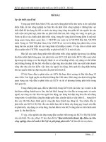 Tiểu luận Kinh tế quốc tế: Quá trình hình thành, đặc điểm các khu công nghiệp, khu chế xuất ở Hà Nội và giải pháp phát triển