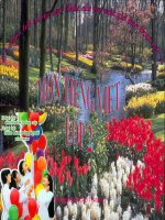 Ôn tập tiếng việt giưa kỳ II ( Tuần 27 )