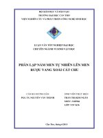 phân lập nấm men tự nhiên lên men rượu vang xoài cát chu