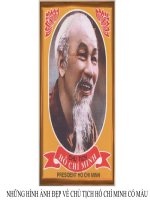 HÌNH ẢNH ĐẸP VỀ CHỦ TỊCH HỒ CHÍ MINH