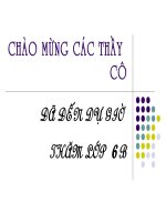 Tổng kết quần cây có hoa