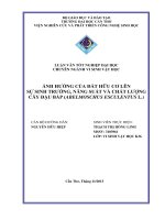 ảnh hưởng của đất hữu cơ lên sự sinh trưởng, năng suất và chất lượng cây đậu bắp (abelmoschus esculentus l.)