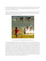 cảm nghĩ về dòng sông