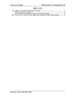 Lợi nhuận và một số biện pháp nhằm nâng cao lợi nhuận tại Công ty Cổ phần Sơn Hải Phòng