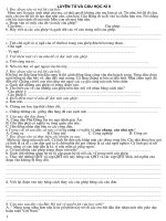 ĐỀ ÔN TẬP T.VIỆT 5  KÌ II