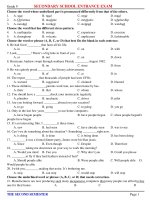 10 DE TUYEN SINH LOP 10