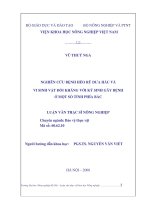 nghiên cứu bệnh héo rũ dưa hấu và vi sinh vật đối kháng với ký sinh gây bệnh ở một số tỉnh phía bắc