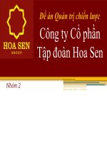 Đề án quản trị chiến lược công ty cổ phần tập đoàn hoa sen