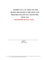 NGHIÊN cứu các NHÂN tố ẢNH HƯỞNG đến HÀNH VI TIÊU DÙNG sản PHẨM BIA sài gòn của NGƯỜI TIÊU DÙNG tại thành phố quảng ngãi