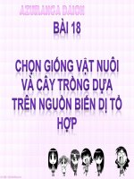 chọn giống vật nuôi và cây trồng dựa trên biến dị tổ hợp