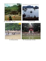 Tư liệu hình ảnh về vùng đồng bằng Sông Hồng