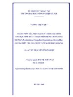thành phần sâu, nhện hại dưa chuột, đặc điểm sinh học, sinh thái và biện pháp phòng chống loài bọ phấn bemisia tabaci genadius (homoptera: aleyrodidae) gây hại trên cây dưa chuột vụ xuân hè 2008 tại hà nội