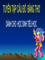 48 câu đố dành cho HS Tiểu học