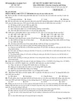 De thi thu TN 2011 (so 3)