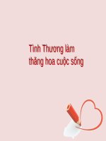 Bai hoc lam nguoi tu mot con cho