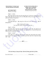 De TS 10 mon Van nam 2010 TP HoChiMinh