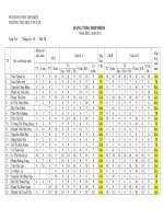 Bảng tổng hợp điểm că năm lớp 5A.